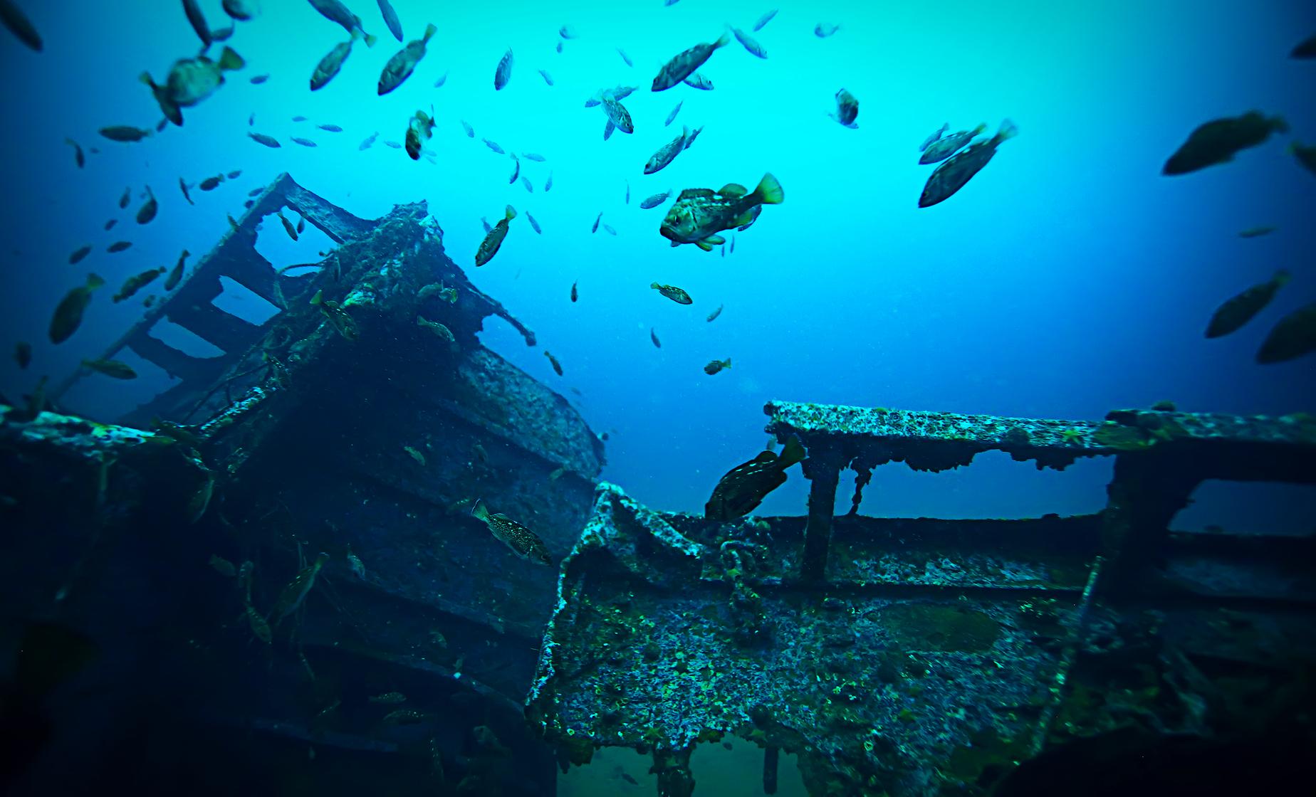 Aruba shipwreck