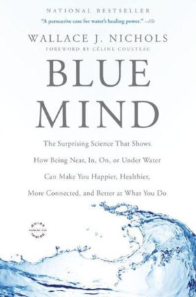 Blue Mind