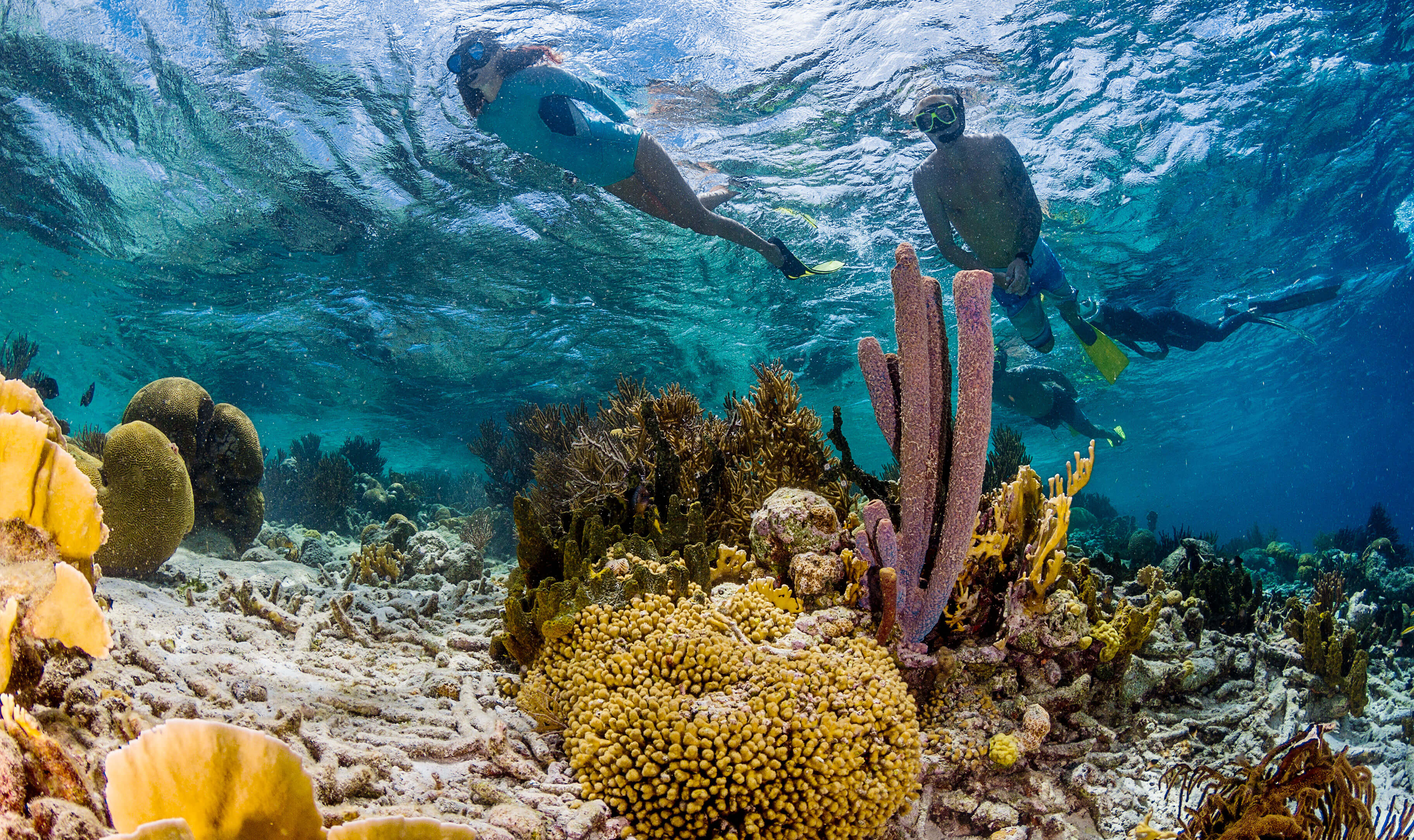 Bonaire underwater reef