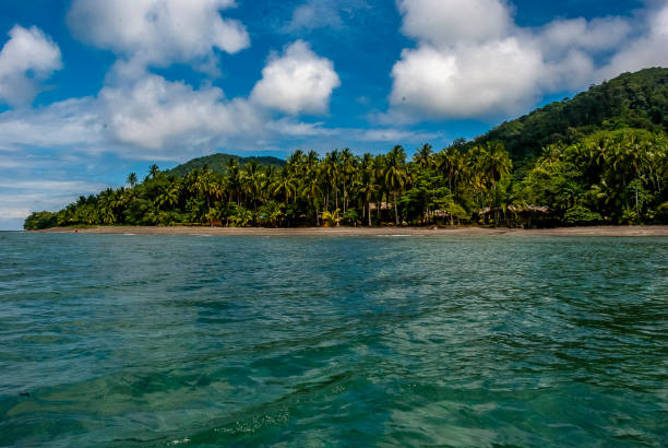 Colombia Pacific jungle coast