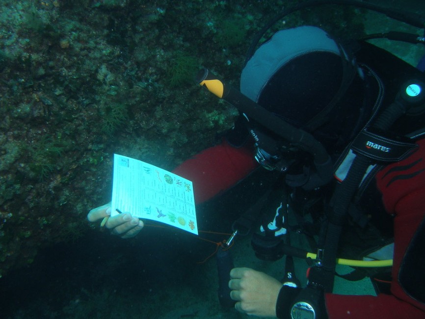 Diver recording a reef survey