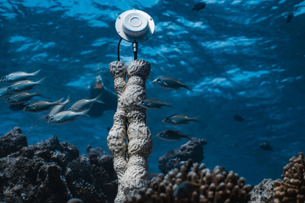 Research instrument on the reef