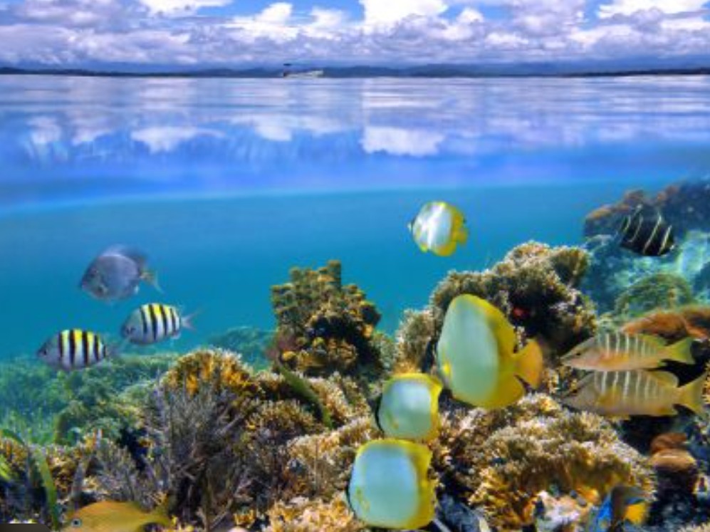 Puerto Viejo, Costa Rica