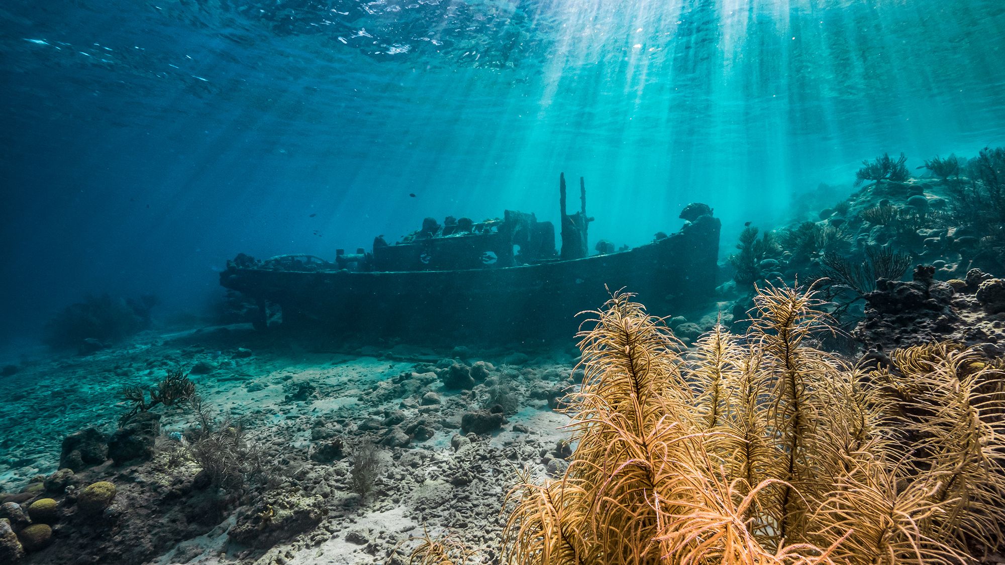 Cura&ccedil;ao shipwreck