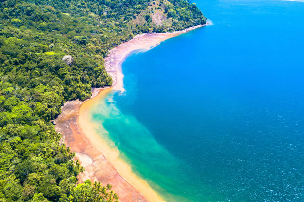 Osa Peninsula jungle coast